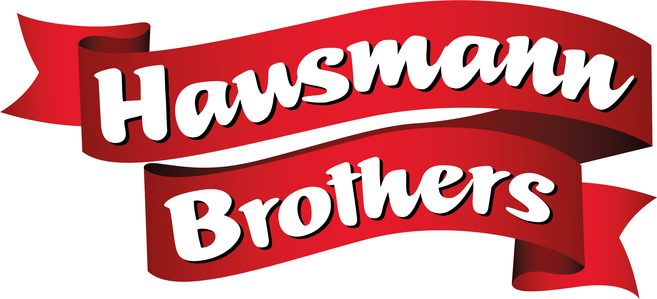 Logo_nurSchleife_HausmannBrothers